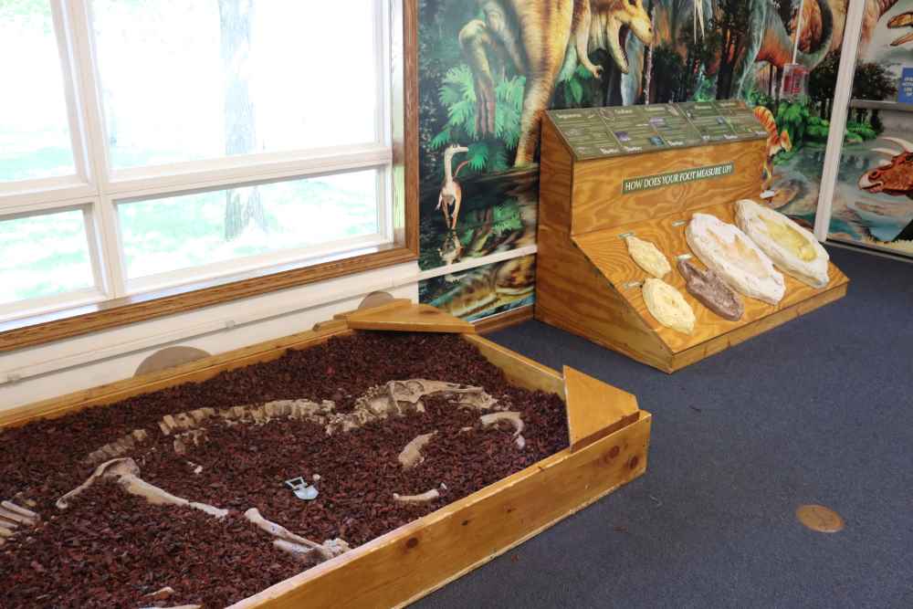 Paleontology exhibit