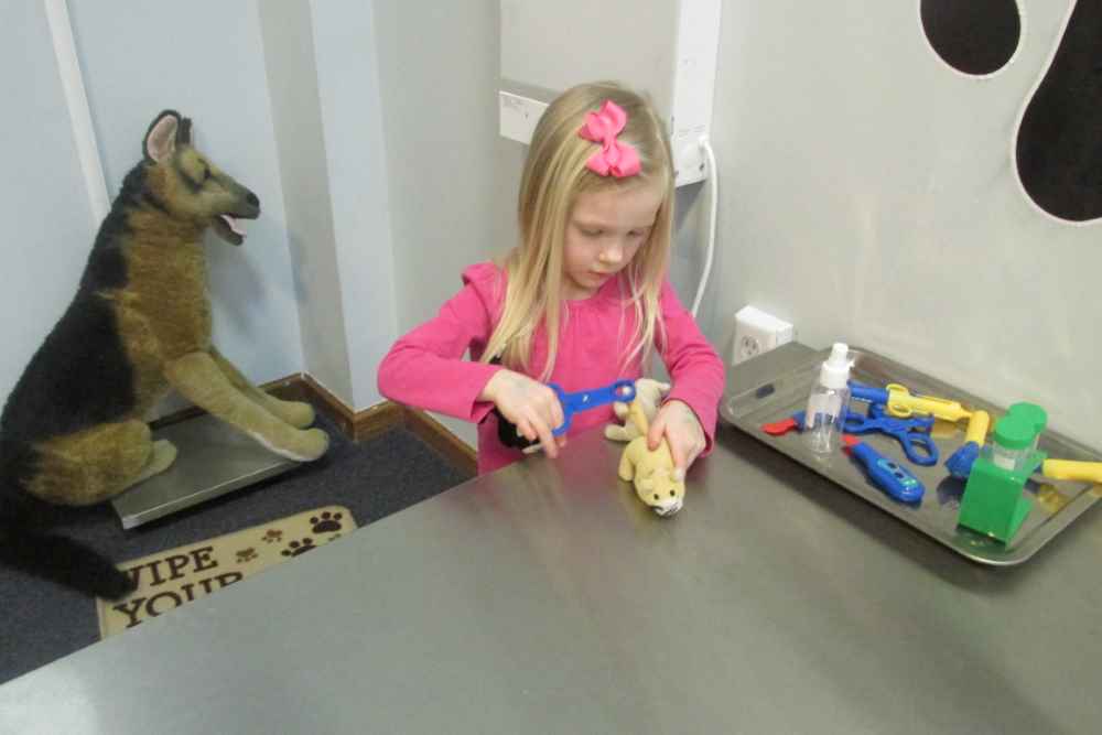 Girl playing at the pet clinic exhibit