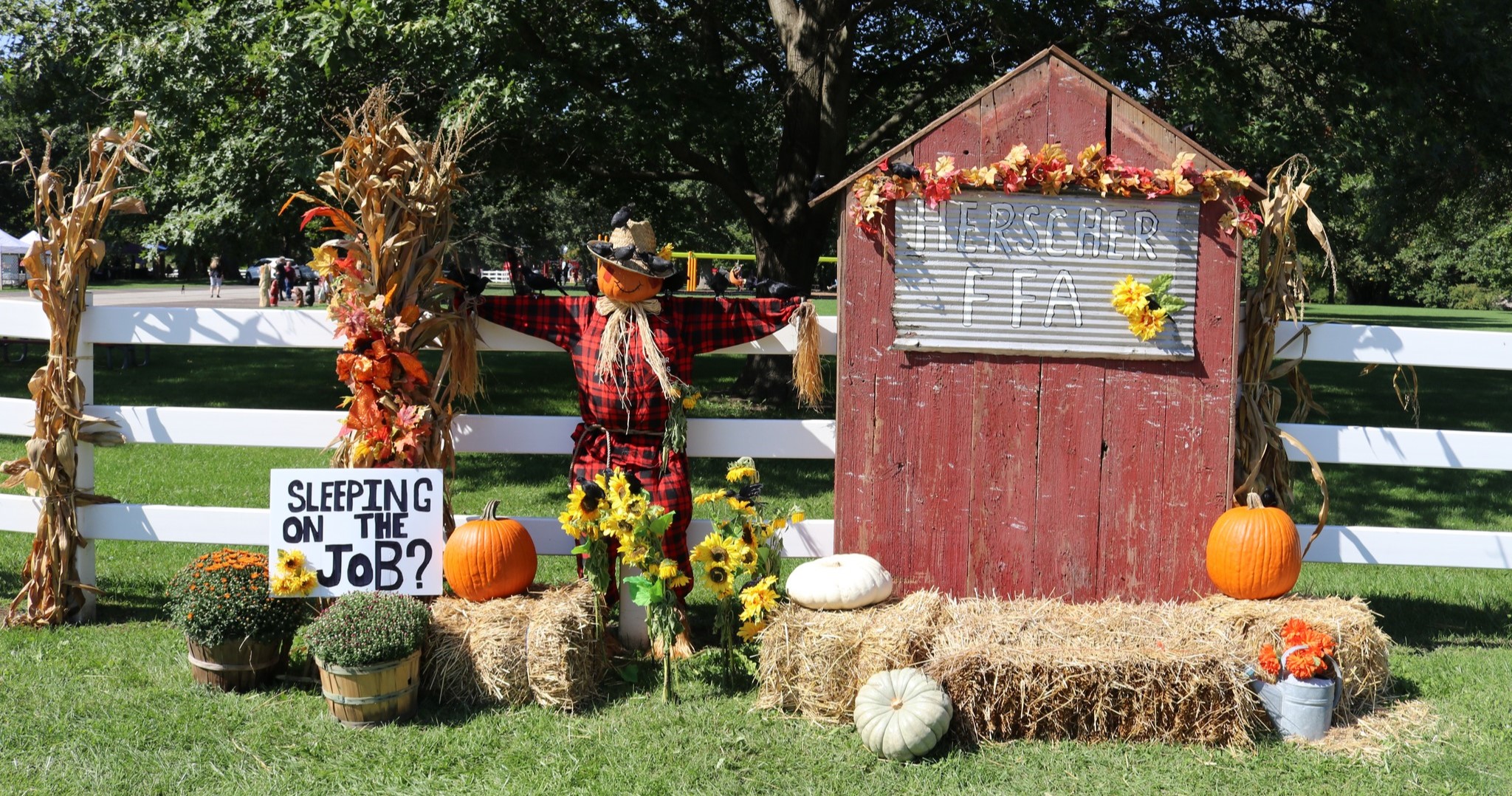 Scarecrow display outside