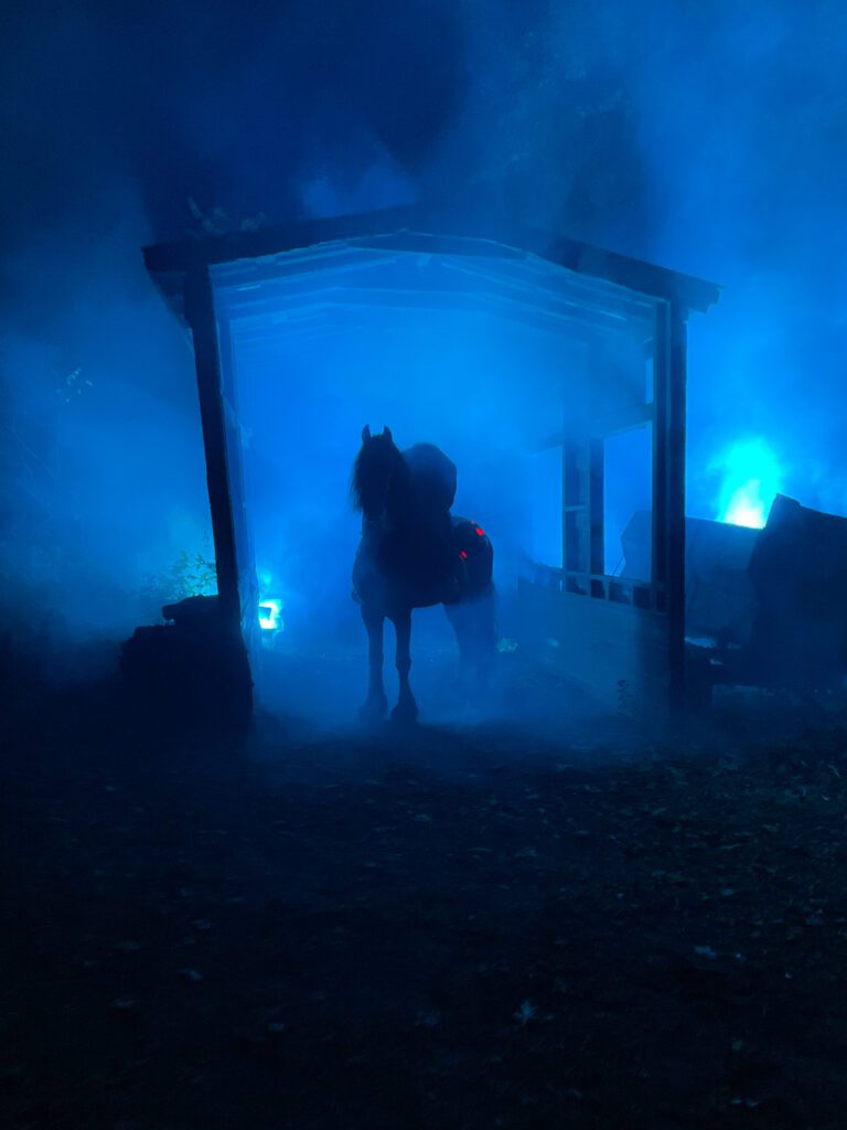 Dimly lit horse standing outside in thick fog